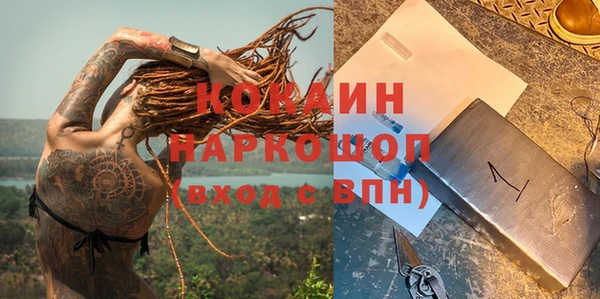 spice Новозыбков