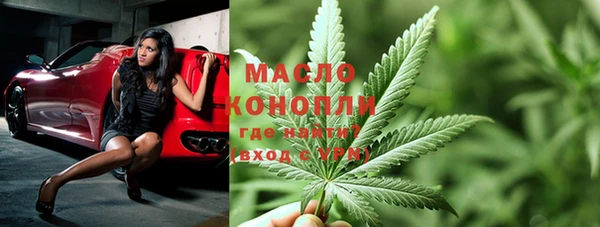 тгк Бикин