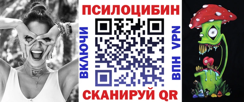 это клад  купить наркотик  Кировград  Псилоцибиновые грибы GOLDEN TEACHER 